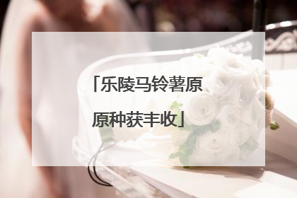 乐陵马铃薯原原种获丰收