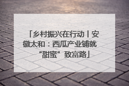 乡村振兴在行动丨安徽太和：西瓜产业铺就“甜蜜”致富路