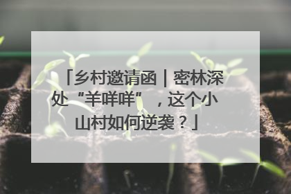 乡村邀请函｜密林深处“羊咩咩”，这个小山村如何逆袭？