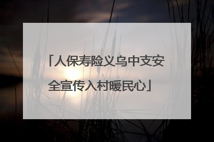 人保寿险义乌中支安全宣传入村暖民心