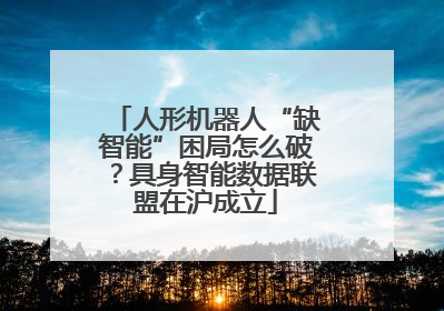人形机器人“缺智能”困局怎么破？具身智能数据联盟在沪成立