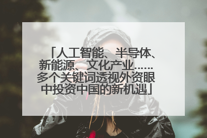 人工智能、半导体、新能源、文化产业……多个关键词透视外资眼中投资中国的新机遇