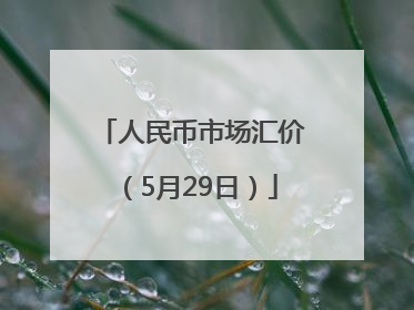 人民币市场汇价（5月29日）