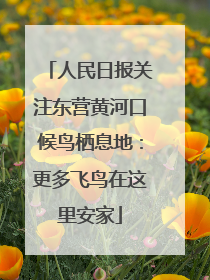 人民日报关注东营黄河口候鸟栖息地：更多飞鸟在这里安家