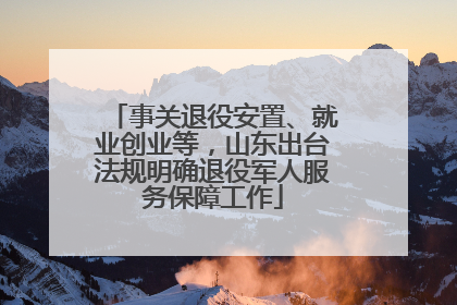 事关退役安置、就业创业等，山东出台法规明确退役军人服务保障工作