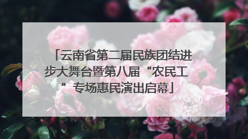 云南省第二届民族团结进步大舞台暨第八届“农民工”专场惠民演出启幕