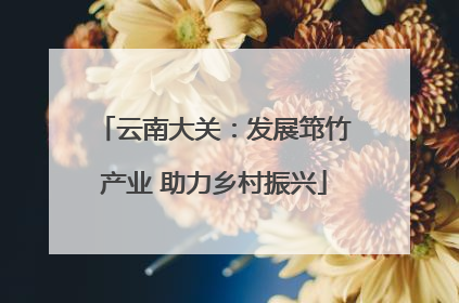 云南大关：发展筇竹产业 助力乡村振兴