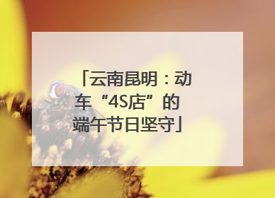 云南昆明：动车“4S店”的端午节日坚守