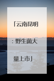 云南昆明：野生菌大量上市