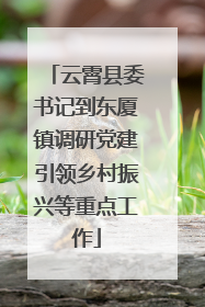 云霄县委书记到东厦镇调研党建引领乡村振兴等重点工作