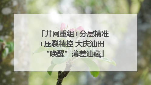 井网重组+分层精准+压裂精控 大庆油田“唤醒”薄差油藏