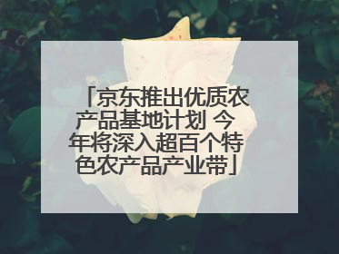 京东推出优质农产品基地计划 今年将深入超百个特色农产品产业带