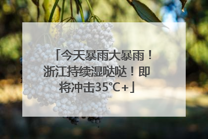 今天暴雨大暴雨！浙江持续湿哒哒！即将冲击35℃+