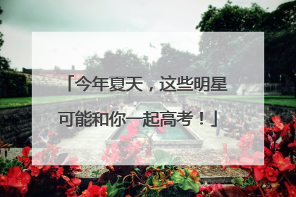 今年夏天，这些明星可能和你一起高考！
