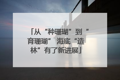 从“种珊瑚”到“育珊瑚” 海底“造林”有了新进展
