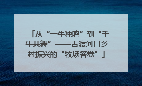 从“一牛独鸣”到“千牛共舞”——古渡河口乡村振兴的“牧场答卷”