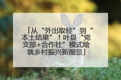 从“外出取经”到“本土结果”！叶县“党支部+合作社”模式绘就乡村振兴新图景