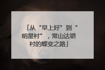 从“早上好”到“明星村”，常山达塘村的蝶变之路