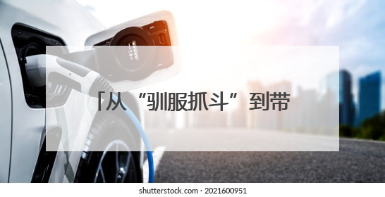 从“驯服抓斗”到带出9徒弟：赵树青的精准操作，托起同江口岸千万吨过货量