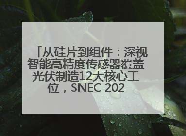 从硅片到组件：深视智能高精度传感器覆盖光伏制造12大核心工位，SNEC 2025诚邀见证