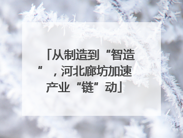 从制造到“智造”，河北廊坊加速产业“链”动