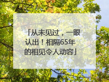 从未见过，一眼认出！相隔65年的相见令人动容