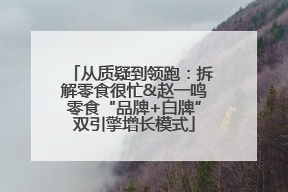 从质疑到领跑：拆解零食很忙&赵一鸣零食“品牌+白牌”双引擎增长模式