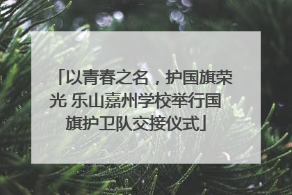 以青春之名，护国旗荣光 乐山嘉州学校举行国旗护卫队交接仪式