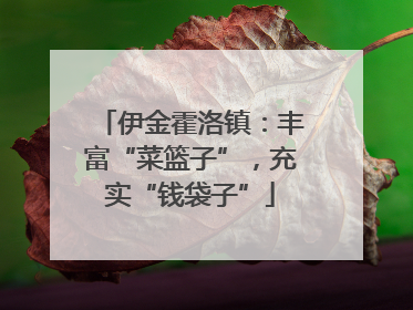 伊金霍洛镇：丰富“菜篮子”，充实“钱袋子”