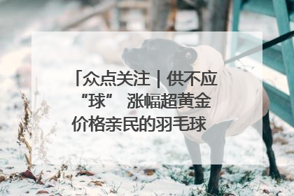 众点关注｜供不应“球” 涨幅超黄金 价格亲民的羽毛球为何身价飞涨？