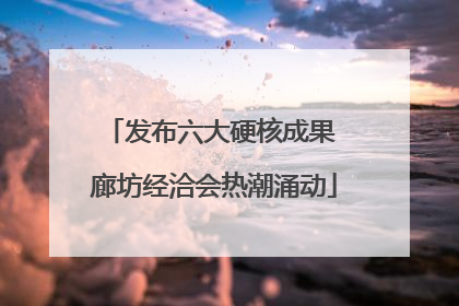 发布六大硬核成果 廊坊经洽会热潮涌动