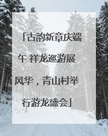古韵新章庆端午 祥龙巡游展风华，青山村举行游龙盛会