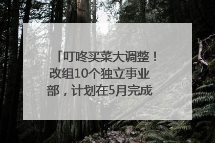 叮咚买菜大调整！改组10个独立事业部，计划在5月完成App端全面改版