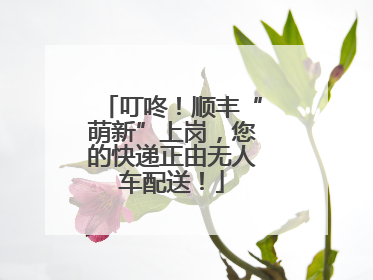 叮咚！顺丰“萌新”上岗，您的快递正由无人车配送！