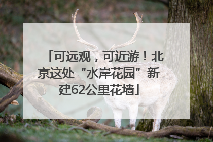 可远观，可近游！北京这处“水岸花园”新建62公里花墙