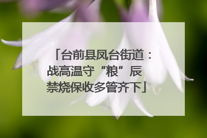 台前县凤台街道：战高温守“粮”辰 禁烧保收多管齐下