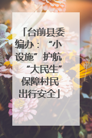 台前县委编办：“小设施”护航“大民生” 保障村民出行安全
