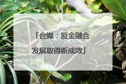 台媒：厦金融合发展取得新成效