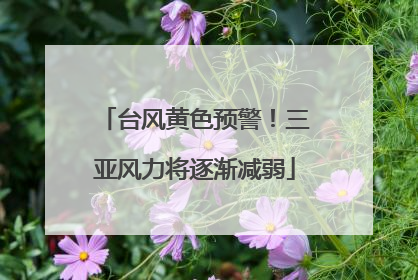 台风黄色预警！三亚风力将逐渐减弱
