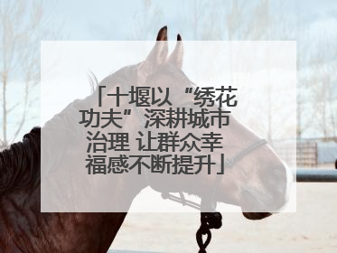 十堰以“绣花功夫”深耕城市治理 让群众幸福感不断提升