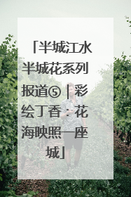 半城江水半城花系列报道⑤｜彩绘丁香：花海映照一座城