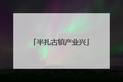 半扎古镇产业兴