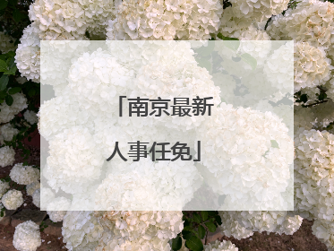 南京最新人事任免