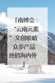 南博会：“云南元素”文创吸睛 众多产品热销海内外