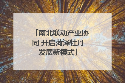 南北联动产业协同 开启菏泽牡丹发展新模式
