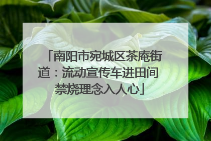南阳市宛城区茶庵街道：流动宣传车进田间 禁烧理念入人心