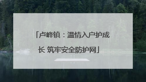 卢峰镇：温情入户护成长 筑牢安全防护网