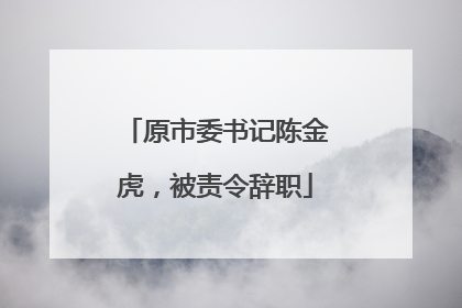 原市委书记陈金虎，被责令辞职