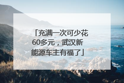 充满一次可少花60多元，武汉新能源车主有福了