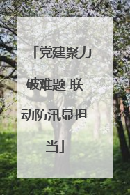 党建聚力破难题 联动防汛显担当